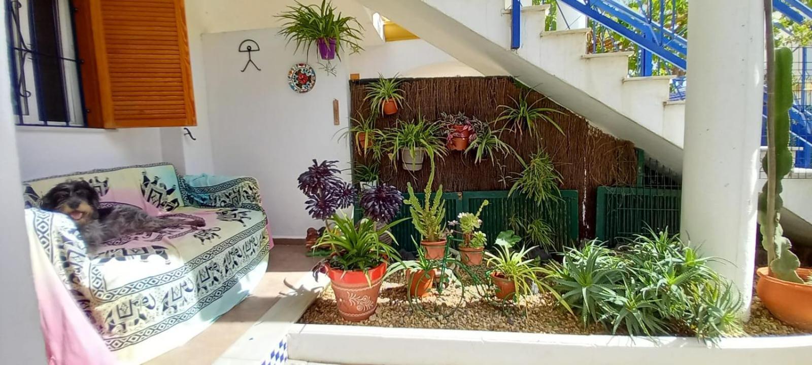 베라 Casa Chiki 아파트 외부 사진
